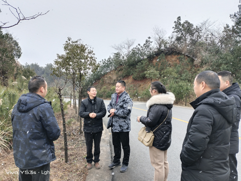 省防治检疫总站二级调研员刘日发一行来邻调研松材线虫病防治工作